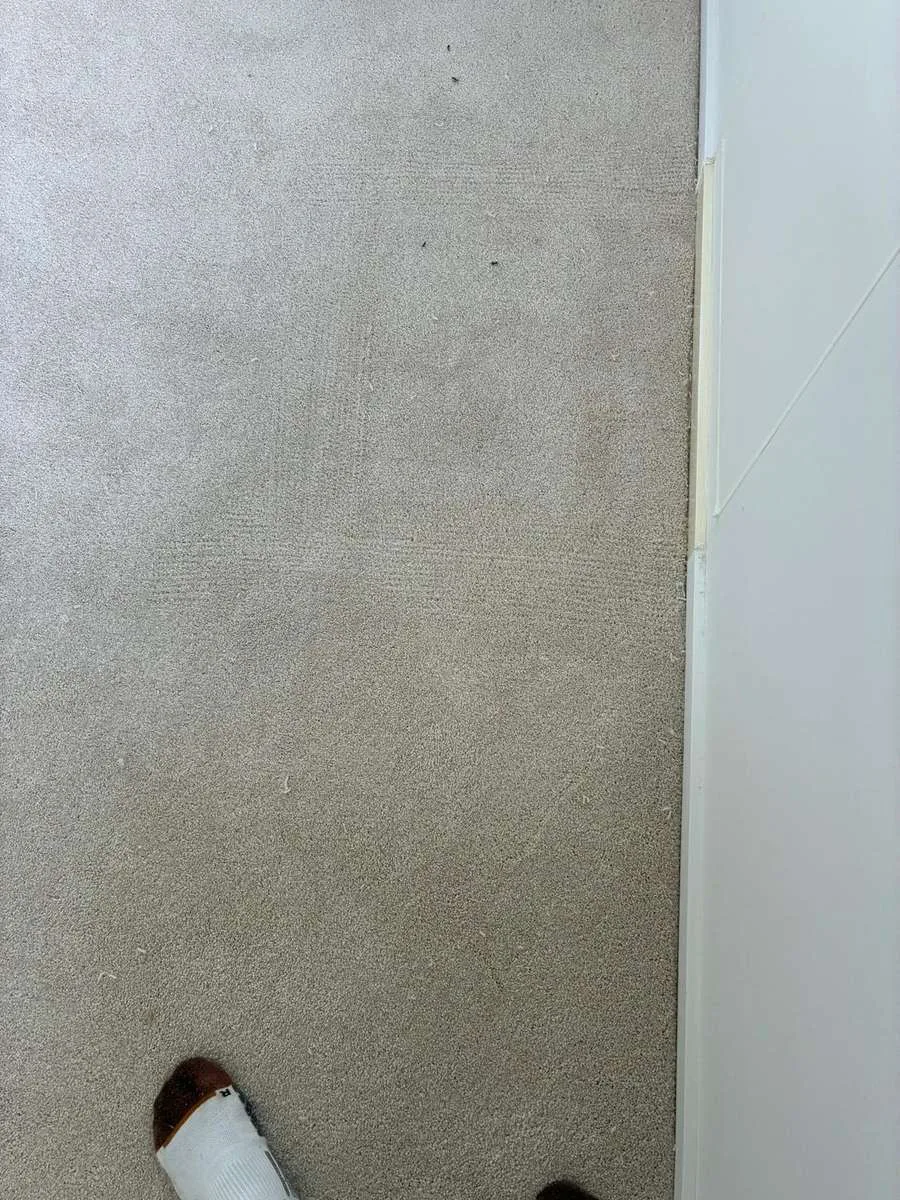 Carpet patch