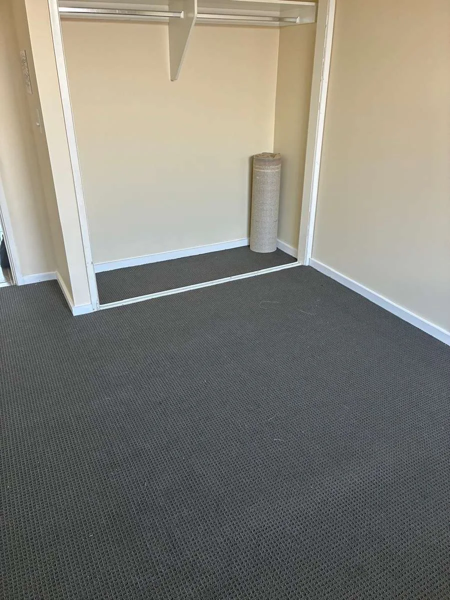 Fresh carpet